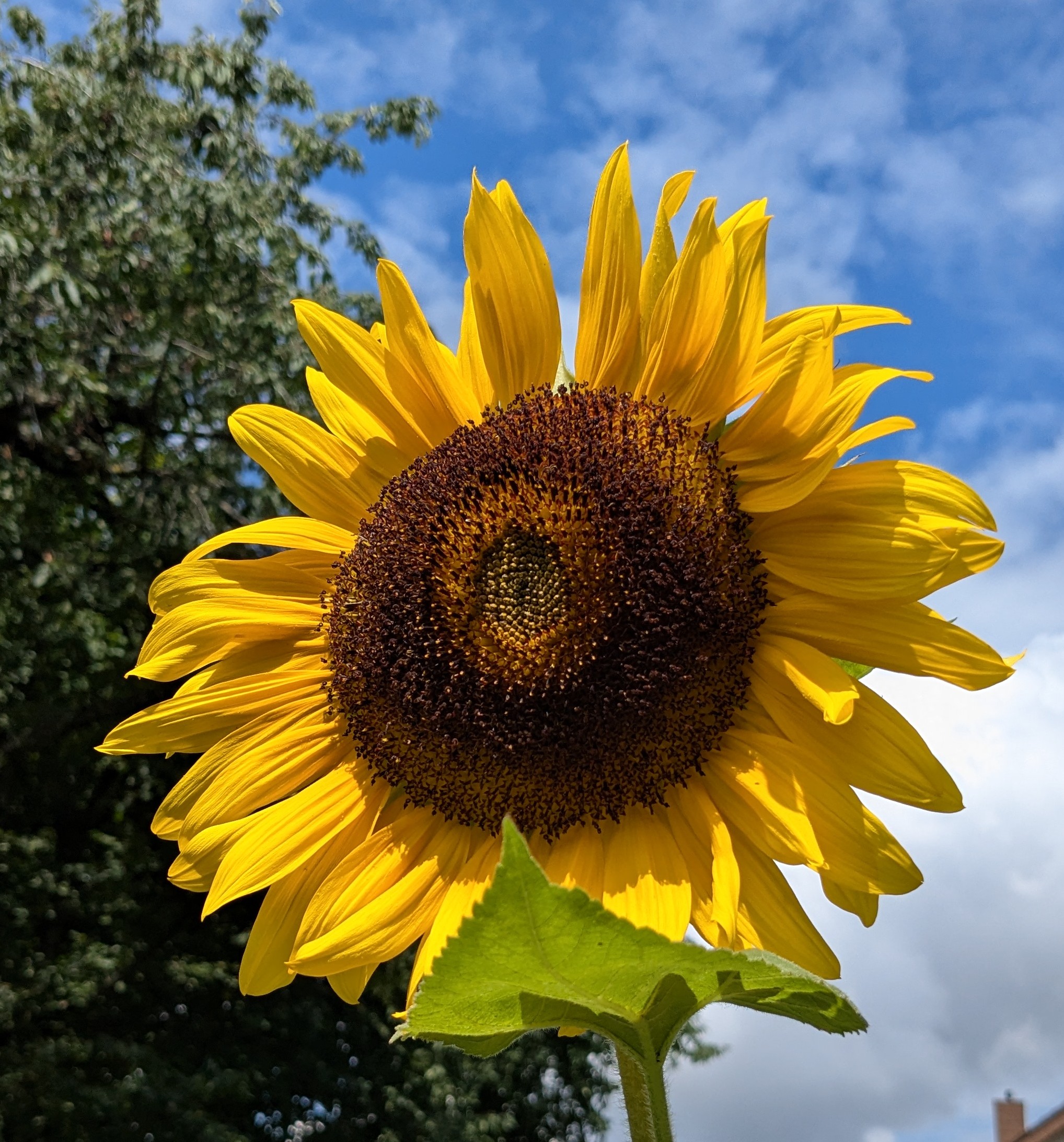 Sommerferiengrüße 2025