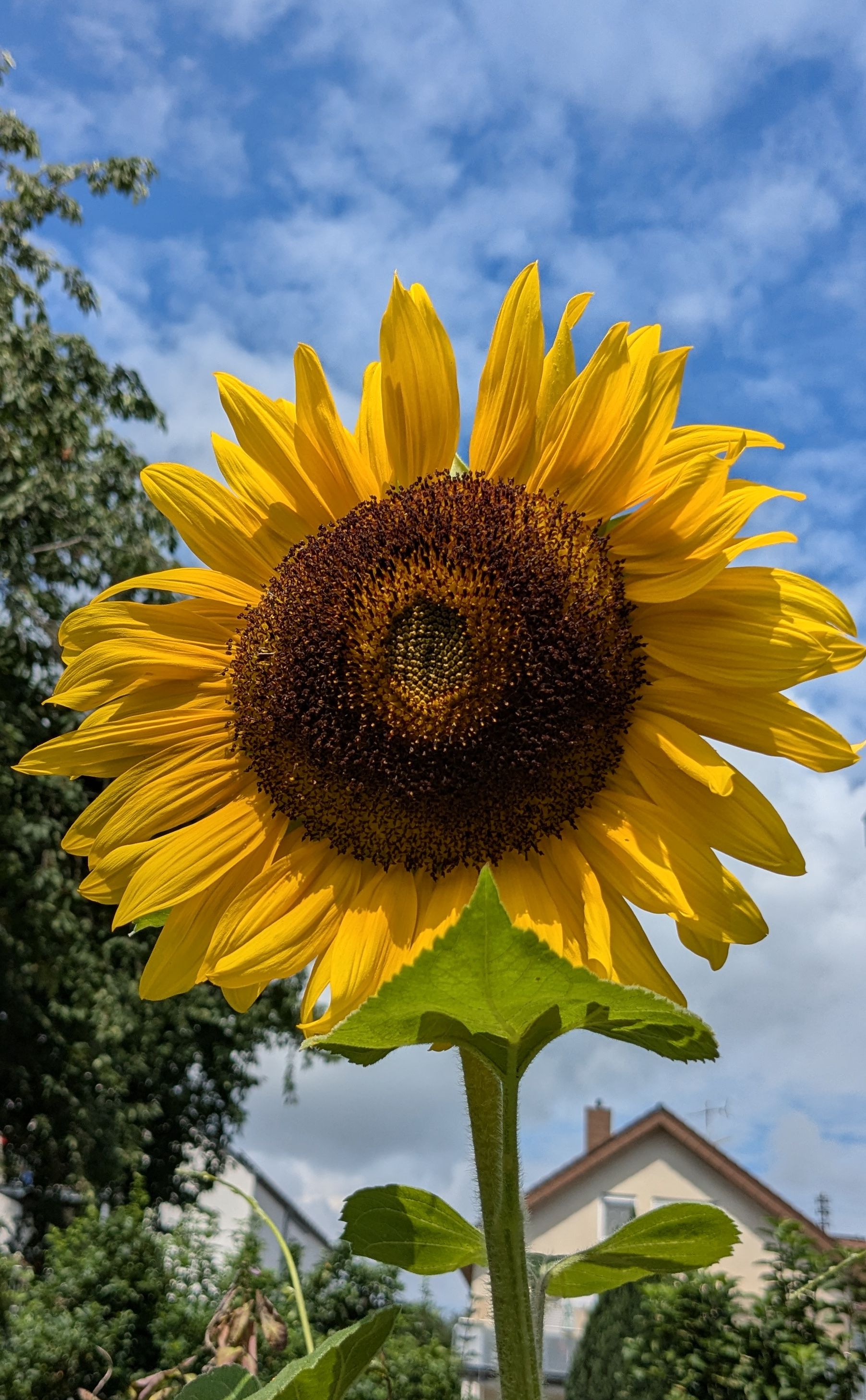Sommerferiengrüße 2026