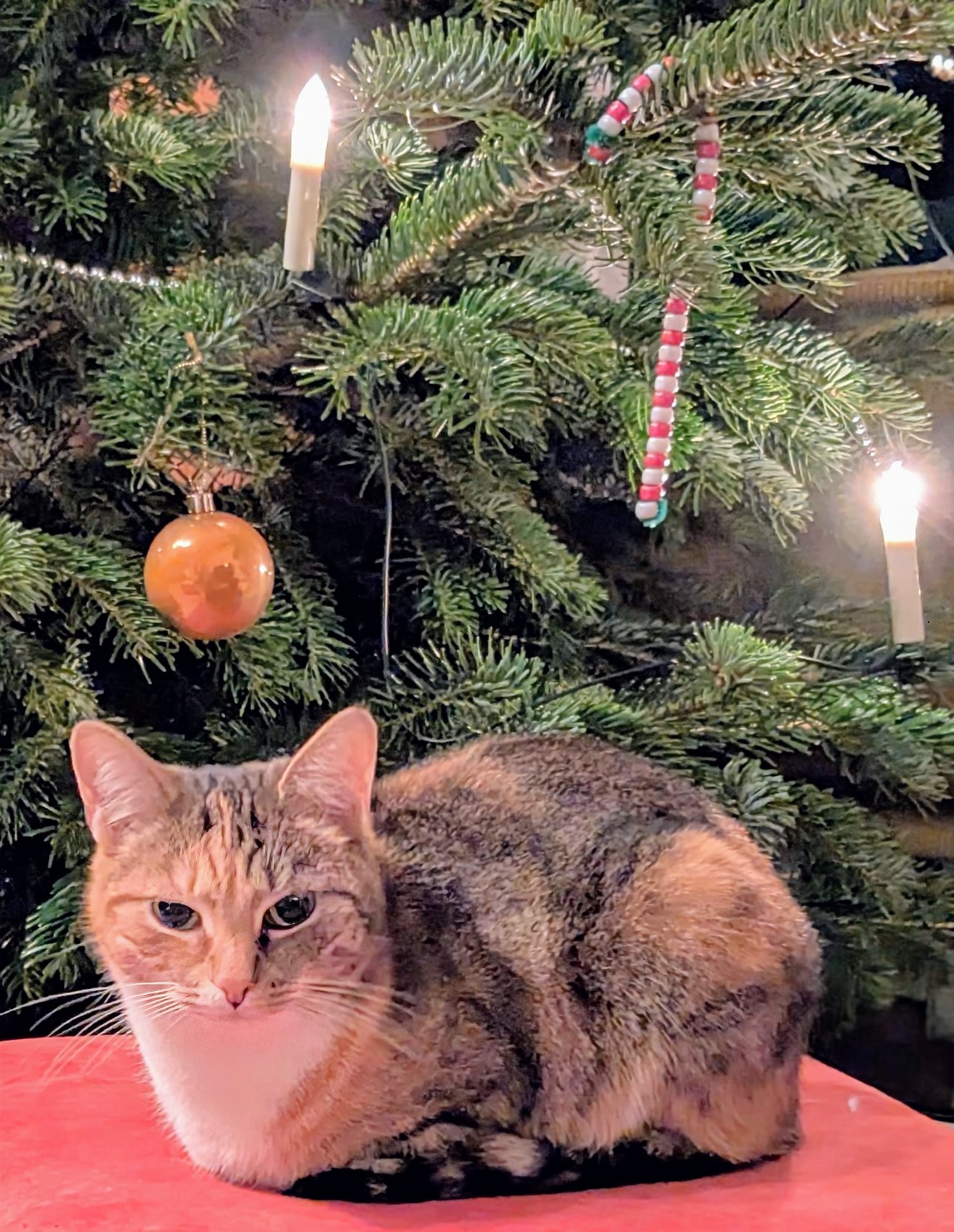 Weihnachtsgrüße 2025